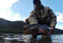  Imagen de Pesca con Mosca de Trucha de arroyo o fontinalis por Gabriel Gallardo – Fly dreamers