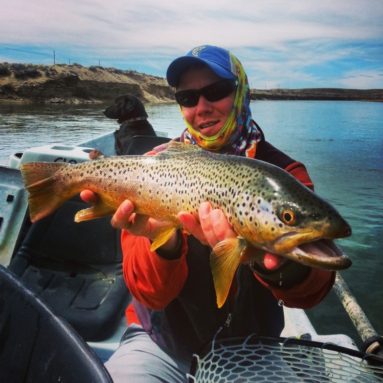 Colorful tailwater brown