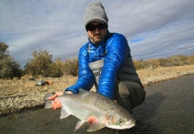 Claudio Martin 's Fly-fishing Picture of a Steelhead – Fly dreamers 