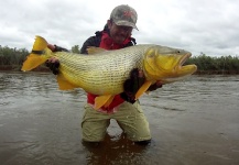 Marcelo Sosa 's Fly-fishing Pic of a Tiger of the River – Fly dreamers 
