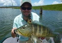 Fly-fishing Image of Peacock Bass shared by Breno Ballesteros – Fly dreamers