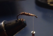 Chocolate Brown caddis