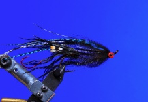 Marcelo Morales 's Fly for King salmon - Image – Fly dreamers 