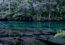 Pesca, Río azul, Rivadavia, Río Chubut.