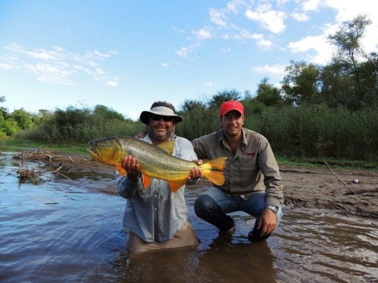 Dorado del Río Juramento
Salta Argentina