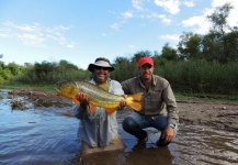 Fly-fishing Situation of Golden Dorado shared by Alejandro Haro 