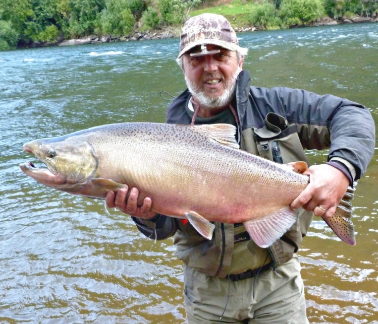 Fresh King Salmon, río Aysen, Marzo 2014