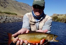  Fotografía de Pesca con Mosca de Trucha de arroyo o fontinalis por Cristian Luchetti – Fly dreamers 