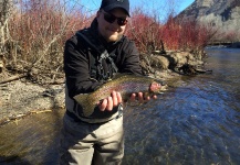 Fly-fishing Pic of Rainbow trout shared by Matthew Nelson – Fly dreamers 
