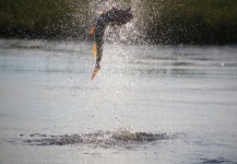  Fotografía de Pesca con Mosca de Dorado por Alex McCloy – Fly dreamers 