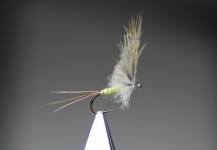 Stig M. Hansen 's Fly-tying for Brown trout - Pic – Fly dreamers 