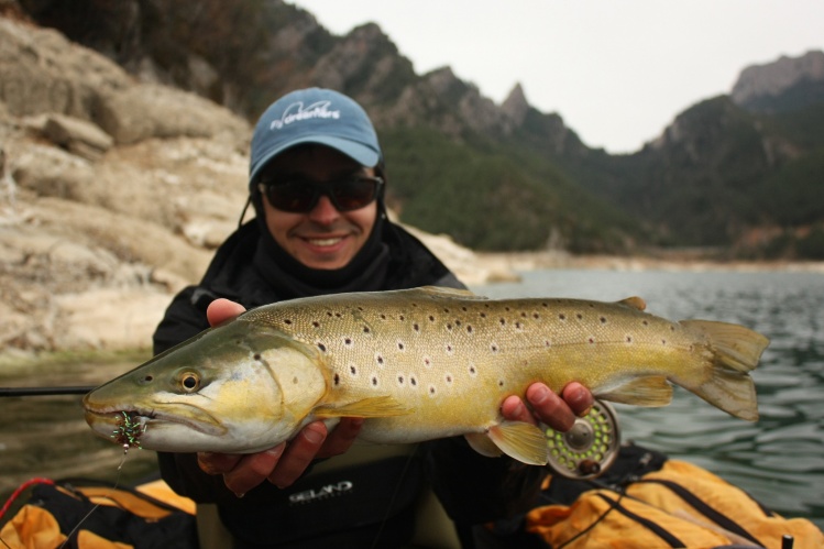 Brown trout with floatube