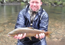 Fly-fishing Picture of Brown trout shared by Ben Elliott – Fly dreamers