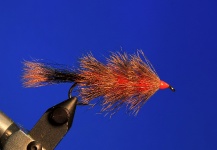 Coastal Deer Fuzzy Wuzzy, deadly fly for Argentine trout