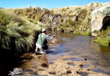  Gran Situación de Pesca con Mosca de Trucha de arroyo o fontinalis– Foto por Mosqueros  Cba Norte en Fly dreamers