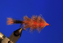 Cool Fly-tying Photo shared by Marcelo Morales – Fly dreamers 