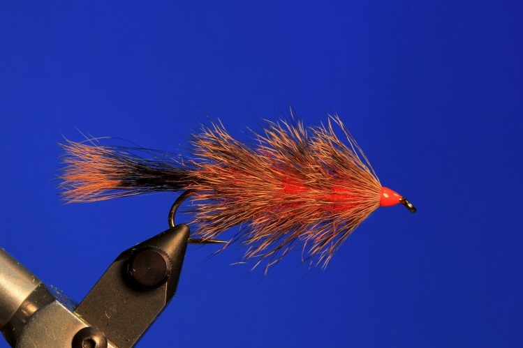 Coastal Deer Fuzzy Wuzzy, deadly fly for Argentine trout