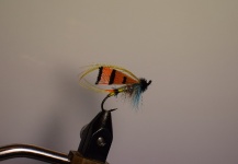 First try to tie a classic fly