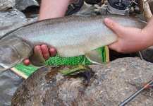  Imagen de Pesca con Mosca de Bull trout por James Meyer – Fly dreamers