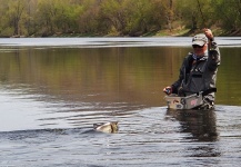 Shad Fly-fishing Situation – Jack Denny shared this Sweet Photo in Fly dreamers 