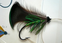 Classic salmon fly. A beautiful Wheatley fly n.° 8. I love it so much...