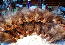 The wall of mice, Goliath Taimen Mouse ready for big old Taimen. 