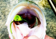 Benjamin Baudouin 's Fly-fishing Photo of a ostracka lososovitá – Fly dreamers 