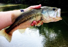 Benjamin Baudouin 's Fly-fishing Pic of a Largemouth Bass – Fly dreamers 