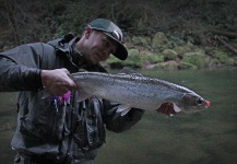 Fly-fishing Image of Steelhead shared by Mountain Made Media – Fly dreamers