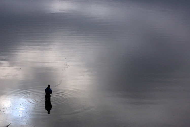 A calm day in the saltwater just outside Seattle.