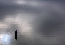  Excelente Situación de Pesca con Mosca de Cutthroat – Fotografía por Dave McCoy en Fly dreamers