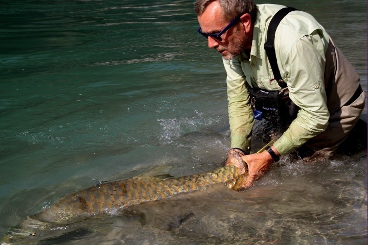 Nepal 2011 mahseer