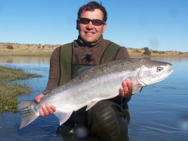 Steelhead. Rio Santa Cruz , Temporada 2014 