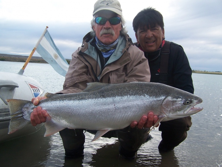 Steelhead del Rio Santa Cruz, Patagonia argentina, Capturada en Marzo del 2014 .-