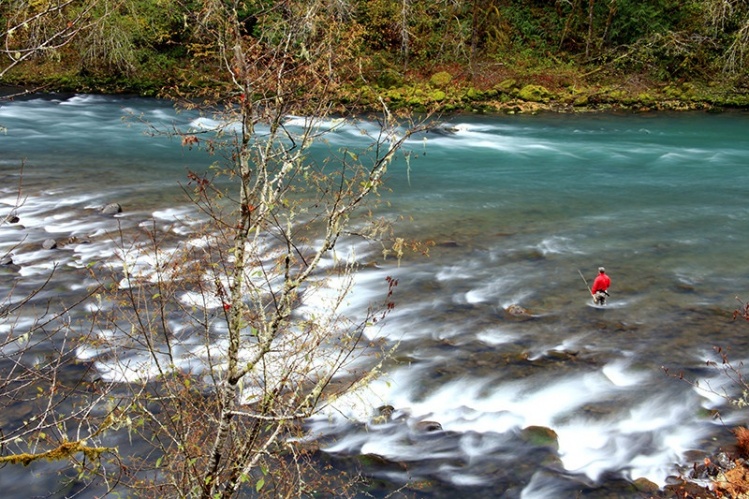 Mike McCoy stepping out into upper Susan Creek on the fabled North Umpqua in southern Oregon.