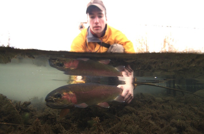 While not necessarily that well known, Washington possesses several quality spring creeks where fish like this reside.