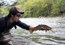  Fotografía de Pesca con Mosca de Trucha marrón compartida por Wendell Baer – Fly dreamers