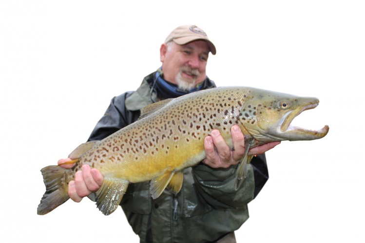 A nice double digit brown. Just proves that if you persist even in very trying conditions the rewards can be there.
