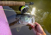 Ben Stahlschmidt 's Fly-fishing Catch of a Largemouth Bass – Fly dreamers 