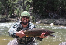 Robert Gibbes 's Fly-fishing Catch of a Rainbow trout – Fly dreamers 