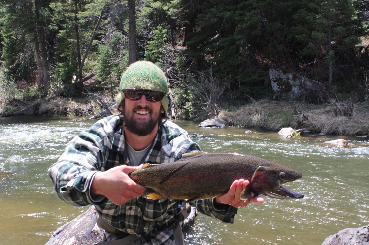 This Ol' Buck measured just over 26 inches (on the tape), and caught on a size #20 baetis nymph with 6X Tippet! Yampa River, CO