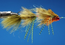 Articulated streamer