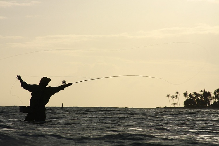 Coach Duff presenting his backcast to some tails near the close of the day.