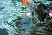  Foto de Pesca con Mosca de Bonefish compartida por Dave McCoy – Fly dreamers