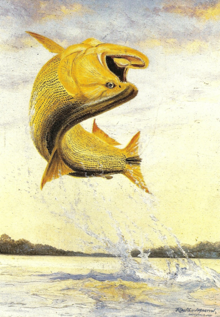Obra de arte de Raúl San Martín 
Publicada en Guía de Caza y Pesca - Argentina - Secretaría de Turismo - 1988