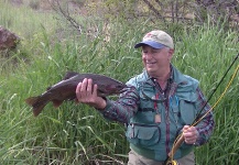 Elke Littleleaf Kirk 's Fly-fishing Photo of a Rainbow trout – Fly dreamers 