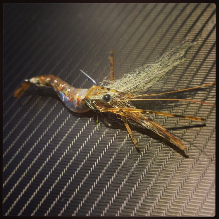 Copper shrimp variant=)