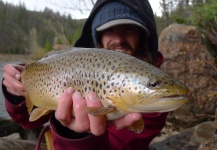 Fly-fishing Photo of Brown trout shared by Brett Macalady – Fly dreamers 