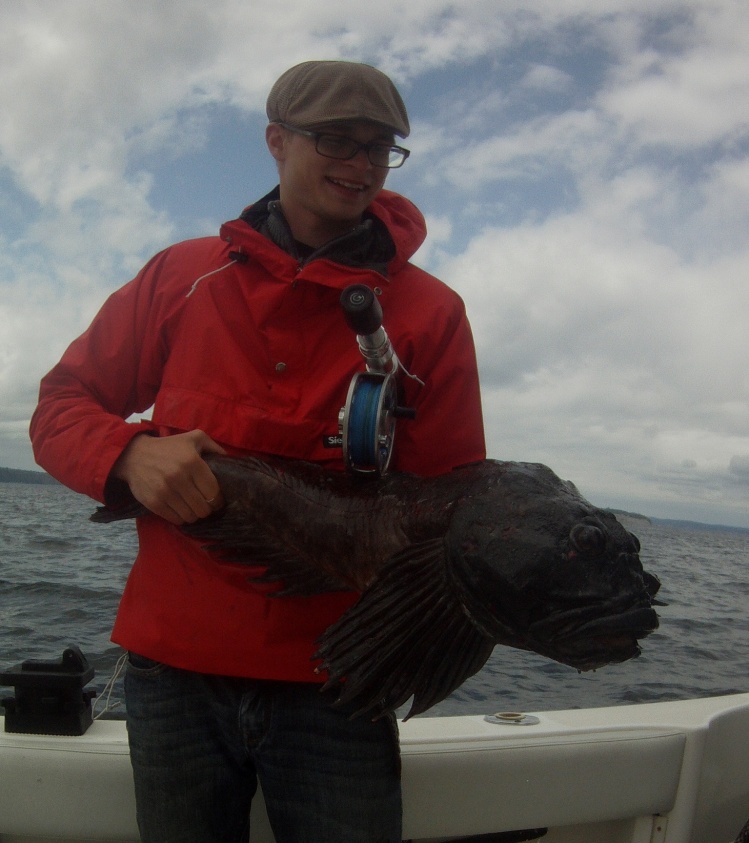 First cabezon of the season, and it's a good one at 15lbs. I love this species, like lings only with worse attitudes and looks. They're elusive this year and i'm glad to finally pick one up.