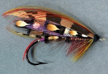 Mike Boyer 's Fly for spring salmon - Picture – Fly dreamers 